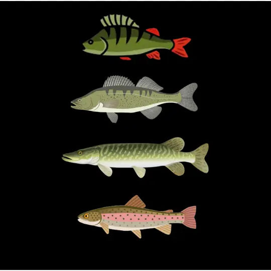 Neopren-Socken jetzt auch mit Zielfisch-Logo