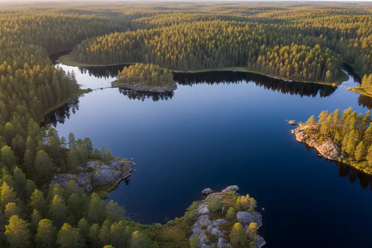 Schwedischer Angelsee von oben