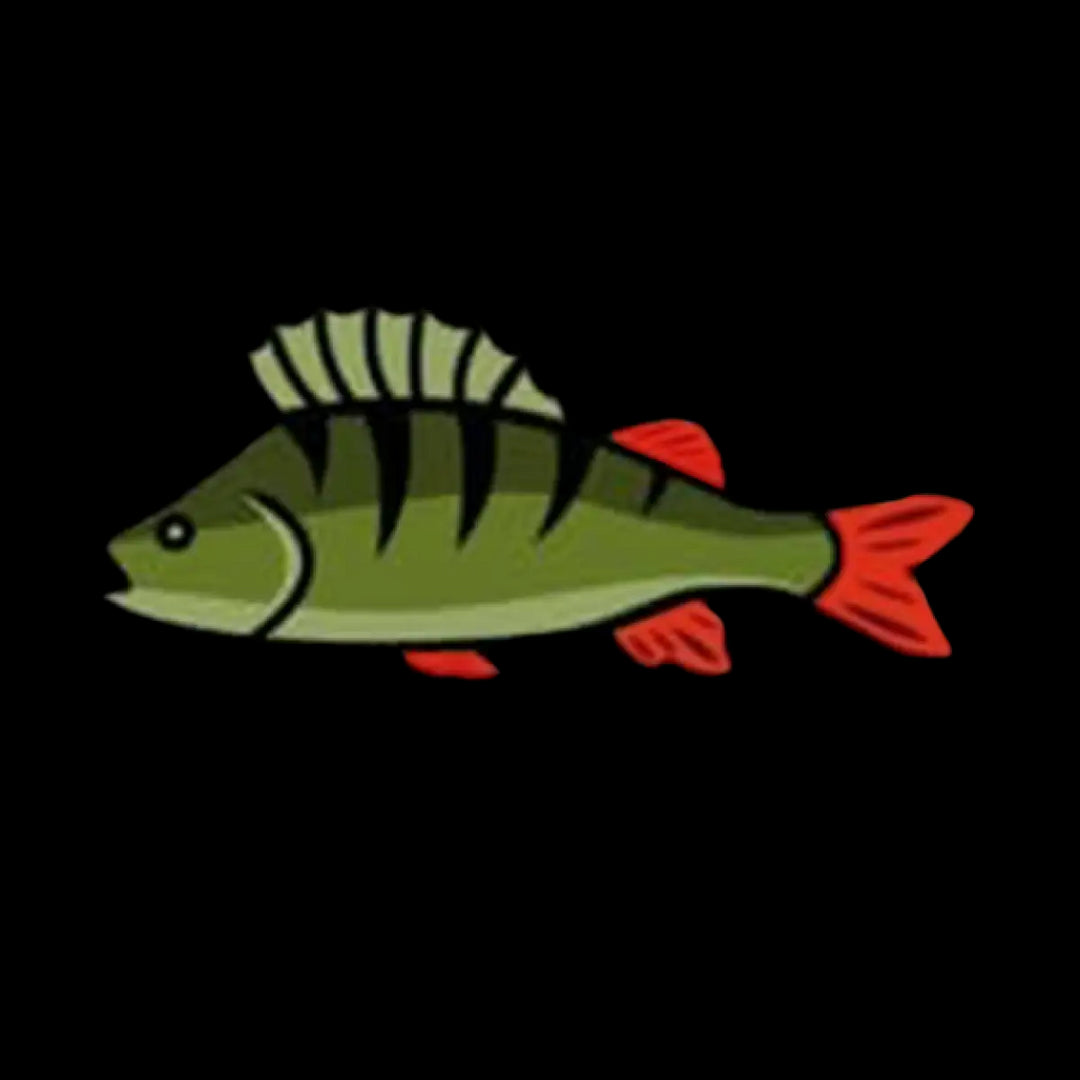 Zielfisch Label Barsch Label