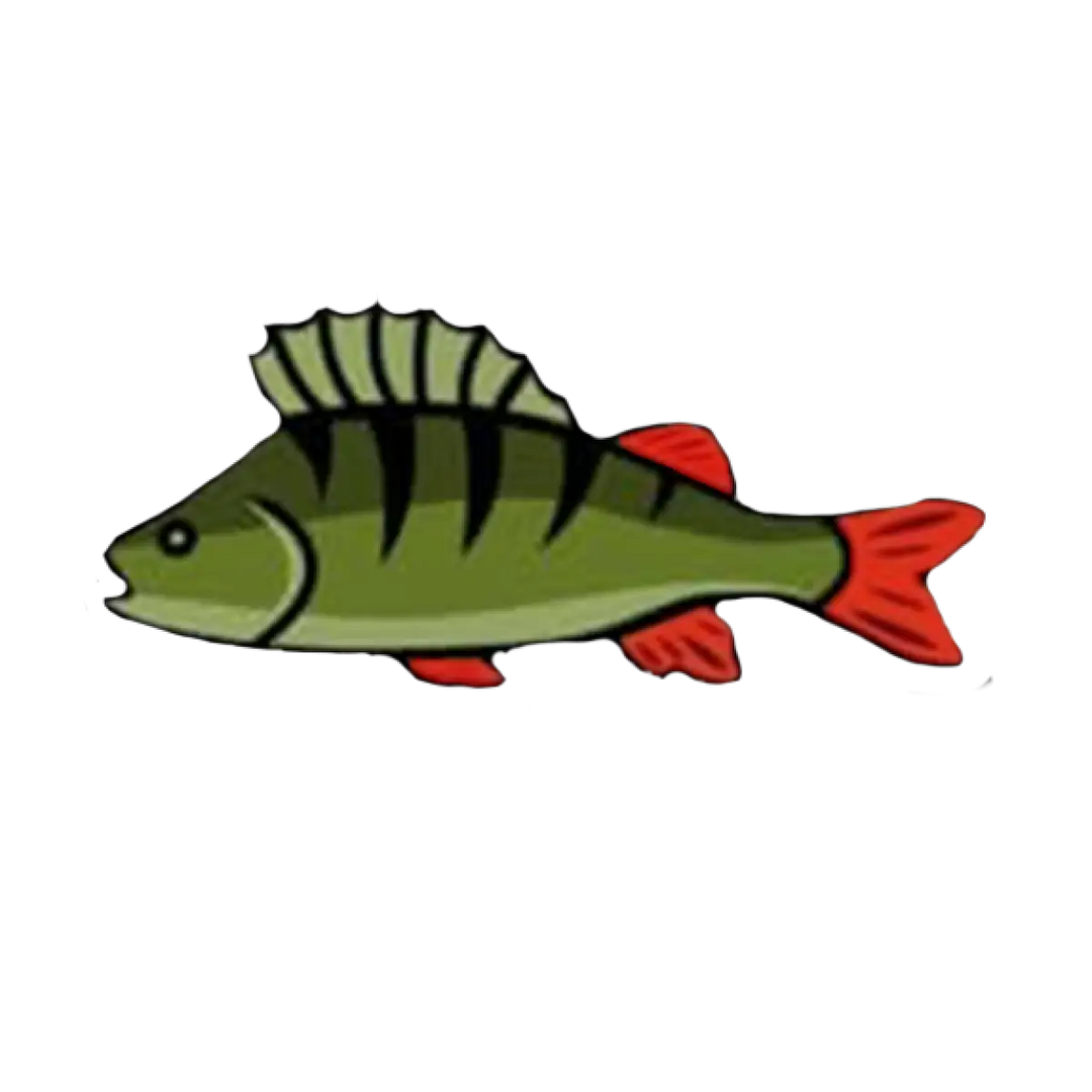 Zielfisch Label Barsch Label