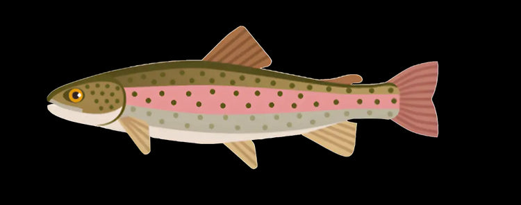 Zielfisch Label Forellen Label