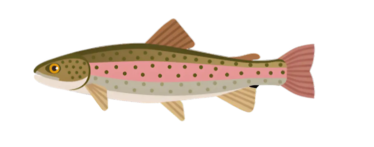 Zielfisch Label - Forellen-Label