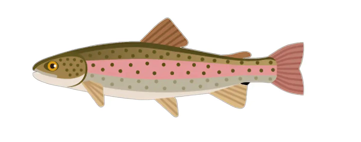 Zielfisch Label NEO - Forelle-Label