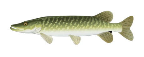 Zielfisch Label NEO - Hecht-Label