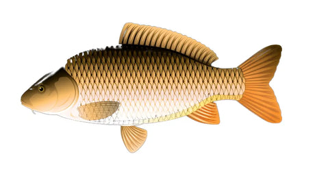 Zielfisch Label NEO - Karpfen-Label