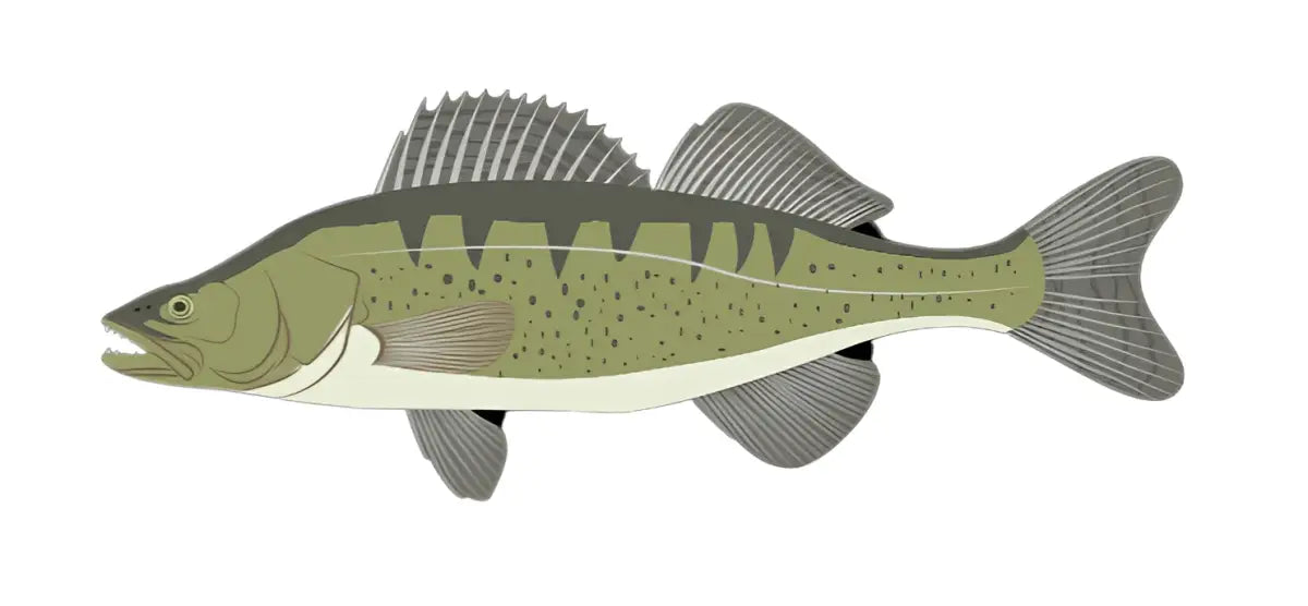 Zielfisch Label NEO - Zander-Label