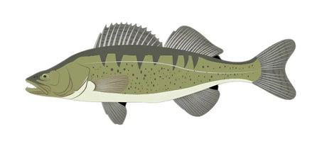 Zielfisch Label NEO - Zander-Label