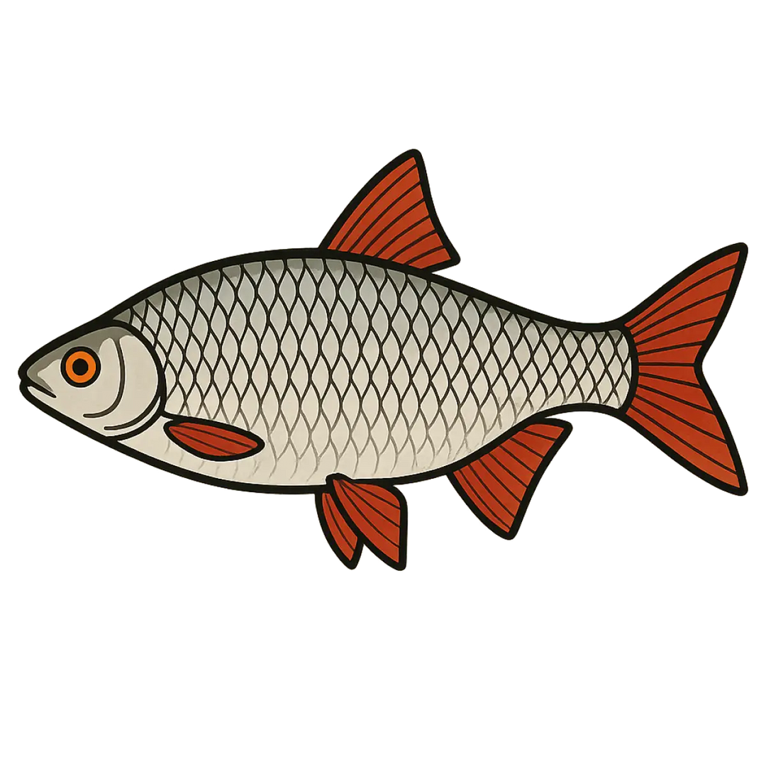Zielfisch Label Weissfisch Label